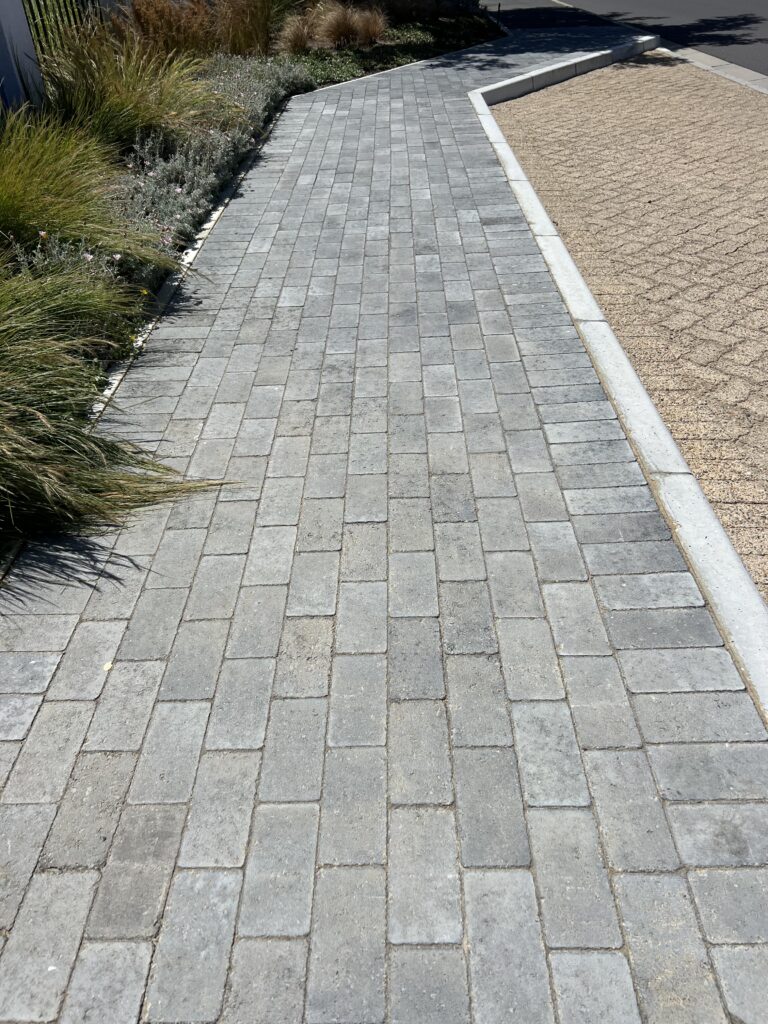 Project Main View