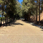 Project Gallery Image