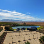 Project Gallery Image