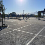 Project Gallery Image